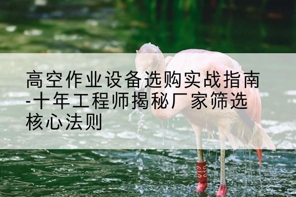 大新剪叉式升降机厂家-高空作业设备选购实战指南-十年工程师揭秘厂家筛选核心法则