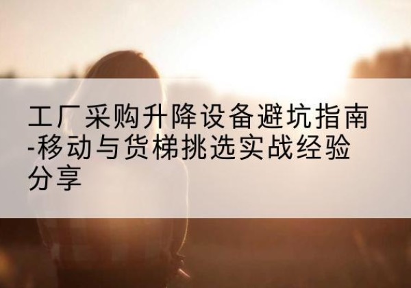 大新移动式升降机怎么选-工厂采购升降设备避坑指南-移动与货梯挑选实战经验分享