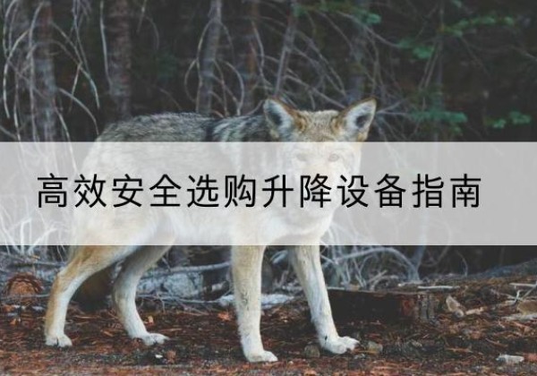大新升降货梯厂家推荐-*安全选购升降设备指南