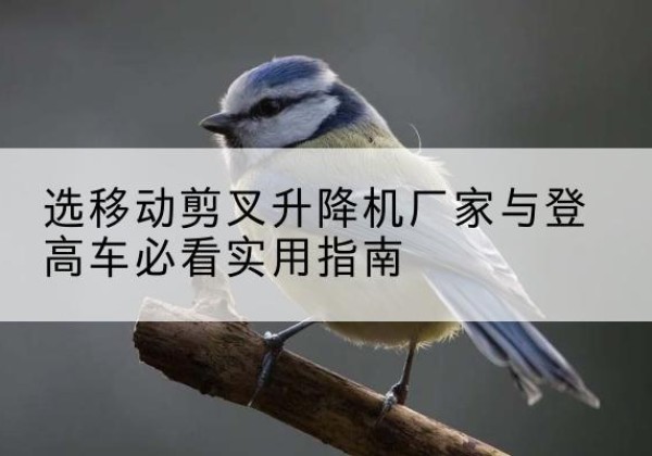 大新电动升降机厂家-选移动剪叉升降机厂家与登高车必看实用指南