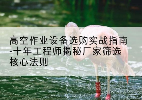 大新剪叉式升降机厂家-高空作业设备选购实战指南-十年工程师揭秘厂家筛选核心法则